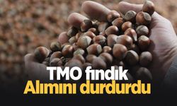 TMO fındık alımını durdurdu