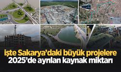 Sakarya'da hangi projeye ne kadar ödenek tahsis edildi? İşte yanıtı