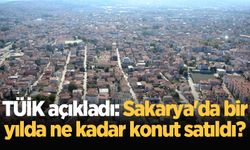 TÜİK açıkladı: Sakarya'da 2024 yılında ne kadar konut satıldı?