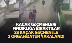 Kaçak Afganları fındıklığa bıraktılar