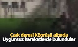 Çarp Köprüsü altında uygunsuz hareketlerde bulundular