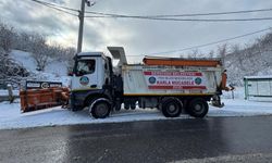 Kar yağışı nedeniyle yol açma ve tuzlama çalışmaları başlatıldı