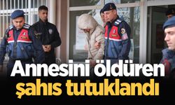 Annesini öldüren şahıs tutuklandı