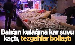 Balığın kulağına kar suyu kaçtı, tezgahlar bollaştı