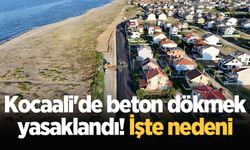 Kocaali'de beton dökmek yasaklandı! İşte nedeni