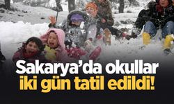 Sakarya'da okullar iki gün tatil edildi