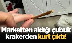 Marketten aldığı çubuk krakerden kurt çıktı!