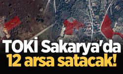 TOKİ Sakarya'da 12 arsa satacak!