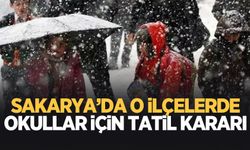 Sakarya'da 3 ilçede okullar için tatil kararı alındı