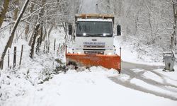 Erenler'de kar küreme ve tuzlama çalışmaları sürüyor