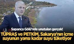 Başkan Altuğ'dan Sapanca Gölü açıklaması: TÜPRAŞ ve PETKİM, Sakarya'nın içme suyunun yarısı kadar suyu tüketiyor