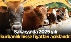 Sakarya'da 2025 yılı kurbanlık hisse fiyatları açıklandı!