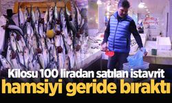 Kilosu 100 liradan satılan istavrit, hamsiyi geride bıraktı