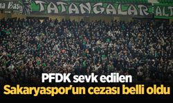 PFDK sevk edilen Sakaryaspor'un cezası belli oldu