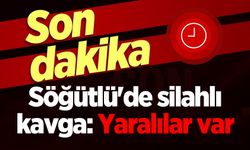 Söğütlü'de silahlı kavga: Yaralılar var