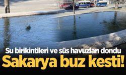 Sakarya buz kesti! Su birikintileri ve süs havuzları dondu