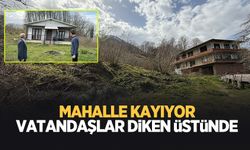 Bu mahalle parça parça kayıyor