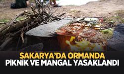 Sakarya'da ormanlarda mangal ve piknik yasaklandı