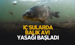 İç sularda balık avı yasağı başladı