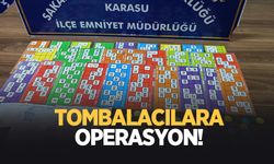 Karasu'da tombalacılara baskın