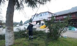 Sapanca Belediyesi’nden İlçeye bahar bakımı