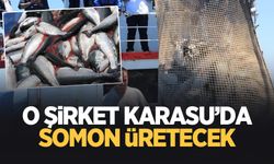 Karasu'da somon çiftliği kuruluyor