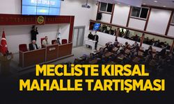 Mecliste kırsal mahalle tartışması