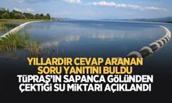 Tüpraş'ın Sapanca Gölü'nden çektiği su miktarı açıklandı