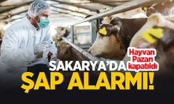 Sakarya'da şap alarmı; Hayvan pazarı kapatıldı