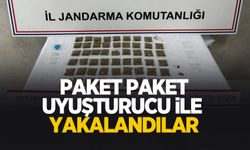 Sapanca'da uyuşturucu operasyonu