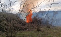 Karasu'da arazi yangını