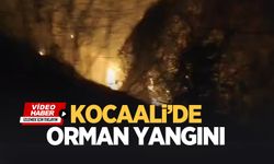 Kocaali'de orman yangını çıktı