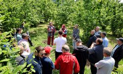 Sakarya’da kahverengi kokarca kabusuyla mücadele başladı