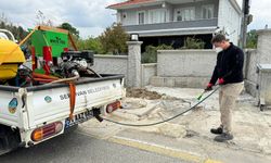 Serdivan’da yaz öncesi yoğun ilaçlama çalışmaları
