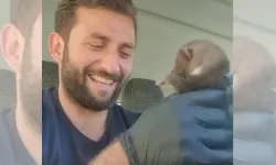 Ayı yavrusu sanılan hayvan sansar yavrusu çıktı