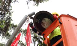 Büyükşehir’den doğaya duyarlı çalışma; Atatürk Bulvarı’na LED aydınlatma