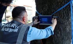 Büyükşehir’den doğaya ‘şifa’ gibi adım: Bu cihaz Sakarya’da yeşil cennetin tomografisini çekecek