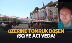 Orman deposunda üzerine tomrk düşen işçiye acı veda