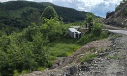 Kamyonet şarampole yuvarlandı