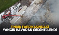 Fındık kırım fabrikasındaki yangın havadan görüntülendi
