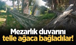 Mezarlık duvarını telle ağaca bağladılar!