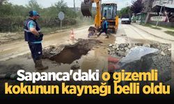 Sapanca'daki o gizemli kokunun kaynağı belli oldu