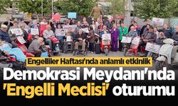 Demokrasi Meydanı'nda 'Engelli Meclisi' oturumu