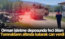 Orman işletme deposunda feci ölüm: Tomrukların altında kalarak can verdi