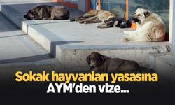 AYM'den sokak hayvanları düzenlemesi kararı