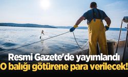 Resmi Gazete'de yayımlandı: O balığı götürene para verilecek!