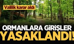 Sakarya’da ormanlık alanlara girişler yasaklandı