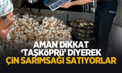 Taşköprü diye satılan sarımsak Çin sarımsağı çıktı