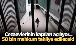 50 bin mahkum tahliye edilecek! İnfaz düzenlemesinde sona gelindi
