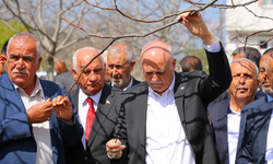TZOB Başkanı Bayraktar: 65 ilde meyve bahçeleri don felaketinden etkilendi